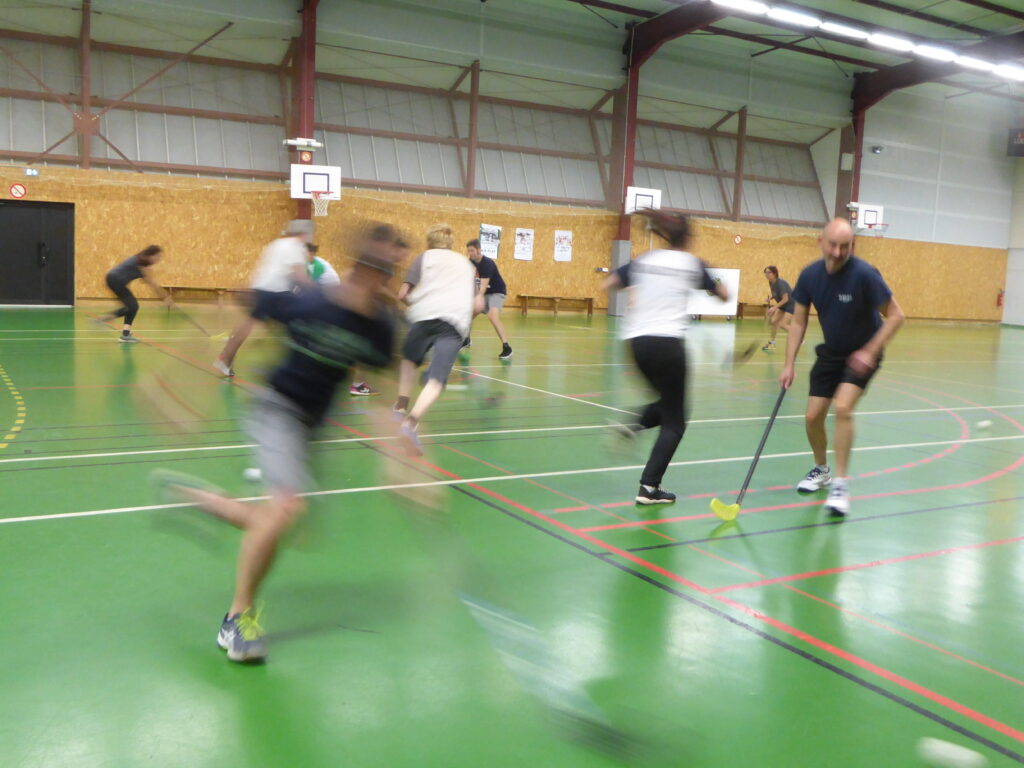 ALR MULTISPORTS ADULTES (2)